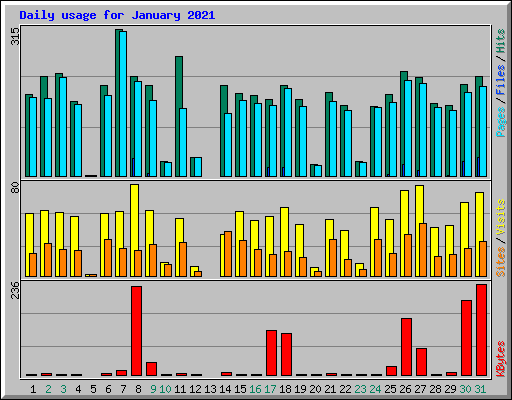 Daily usage for January 2021