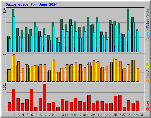 Daily usage for June 2024