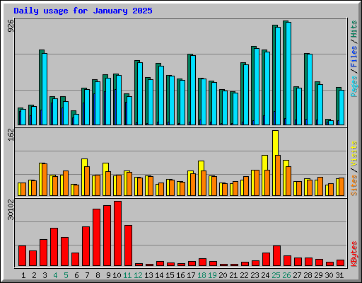 Daily usage for January 2025