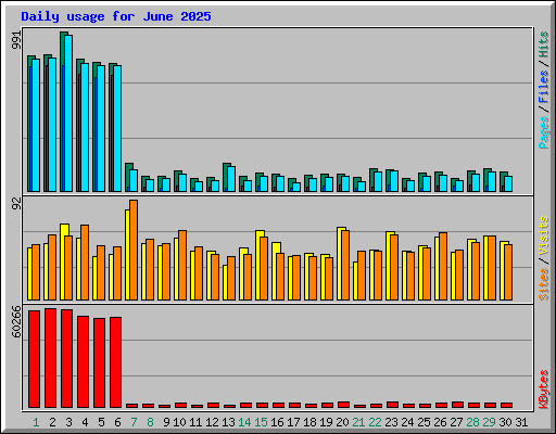 Daily usage for June 2025
