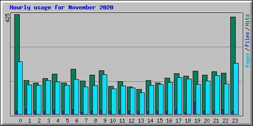 Hourly usage for November 2020