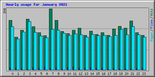 Hourly usage for January 2021