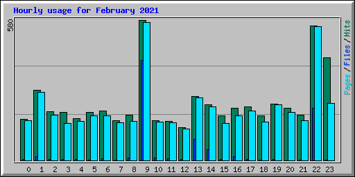 Hourly usage for February 2021