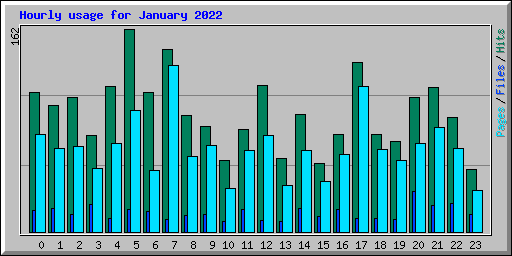 Hourly usage for January 2022