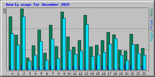 Hourly usage for December 2022