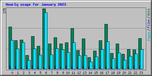 Hourly usage for January 2023