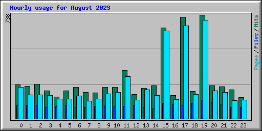 Hourly usage for August 2023