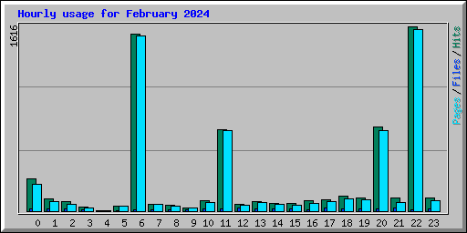 Hourly usage for February 2024