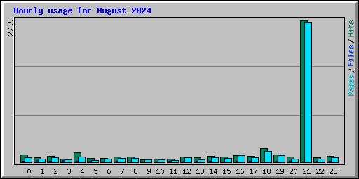 Hourly usage for August 2024