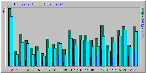 Hourly usage for October 2024