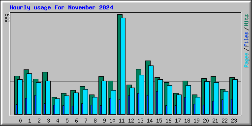 Hourly usage for November 2024