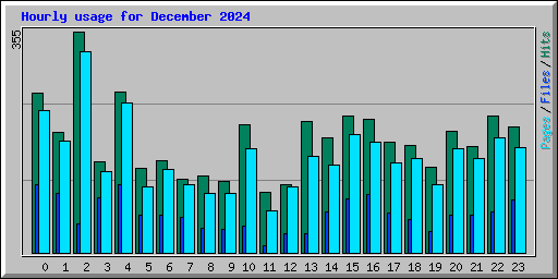 Hourly usage for December 2024