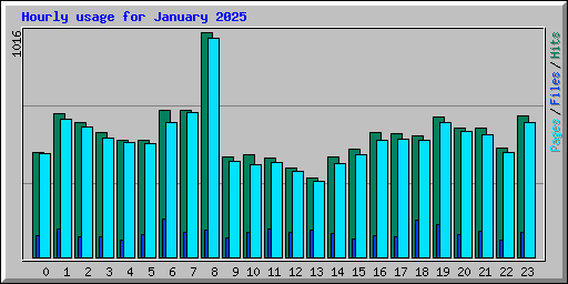 Hourly usage for January 2025