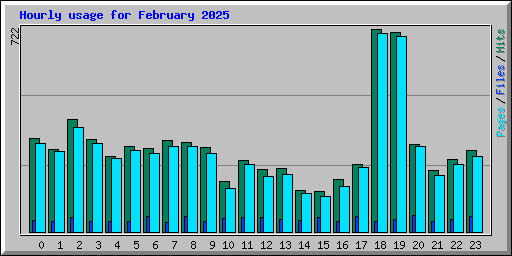 Hourly usage for February 2025