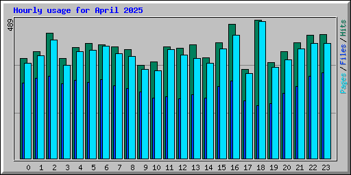 Hourly usage for April 2025