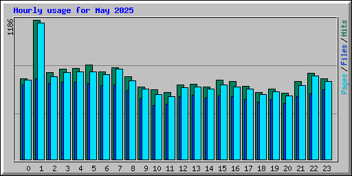 Hourly usage for May 2025