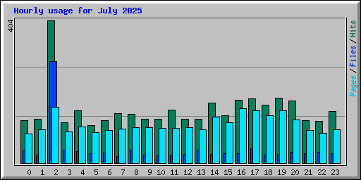 Hourly usage for July 2025