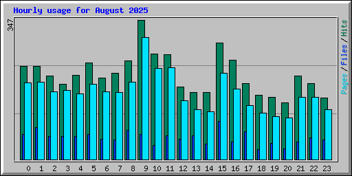 Hourly usage for August 2025