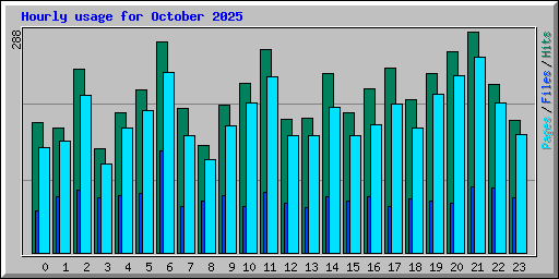 Hourly usage for October 2025