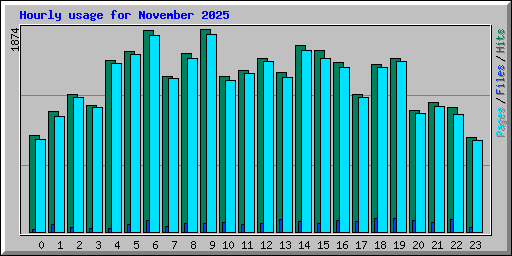 Hourly usage for November 2025