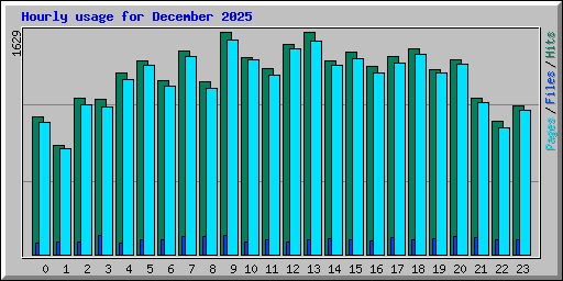 Hourly usage for December 2025