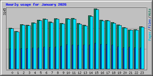 Hourly usage for January 2026