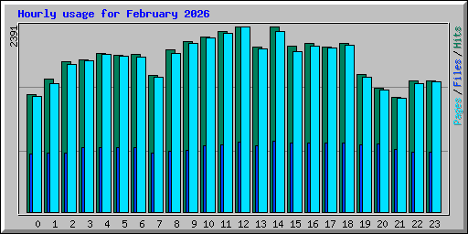 Hourly usage for February 2026